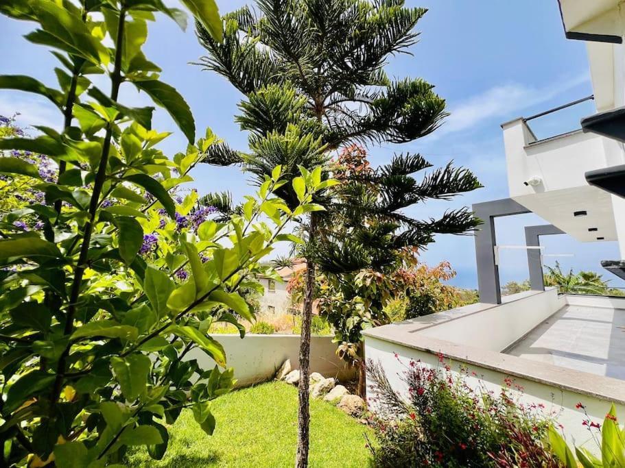 הוילה קיירניה Karmi'De Rueya Gibi Tatil מראה חיצוני תמונה