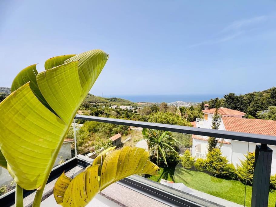 הוילה קיירניה Karmi'De Rueya Gibi Tatil מראה חיצוני תמונה